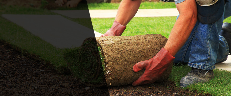 Bonner Springs Landscapers